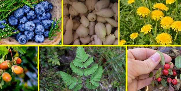 Wild Edibles People Ate During The Great Depression