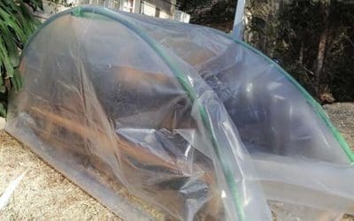 DIY Poor Man’s Greenhouse