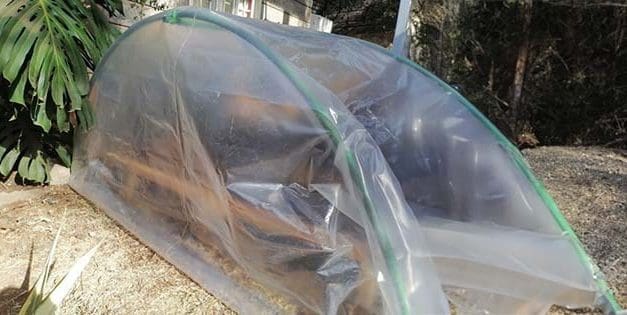 DIY Poor Man’s Greenhouse