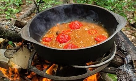 Foods You Shouldn’t Cook In Cast Iron