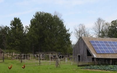 How To Make A Full Income On Your Homestead