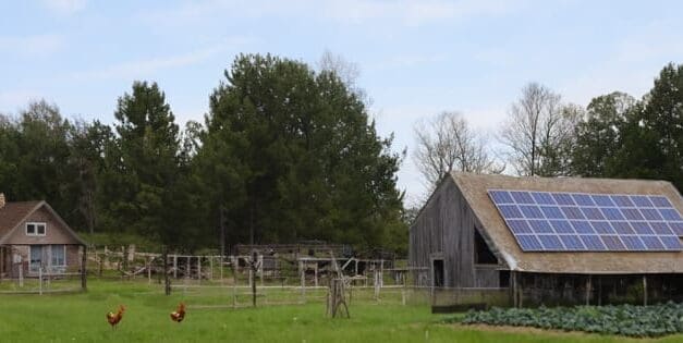 How To Make A Full Income On Your Homestead