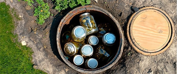 If You Don’t Have a Root Cellar Do This