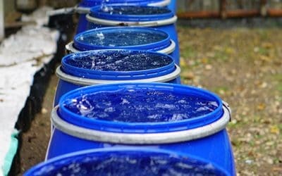 Read This Before Harvesting Rainwater