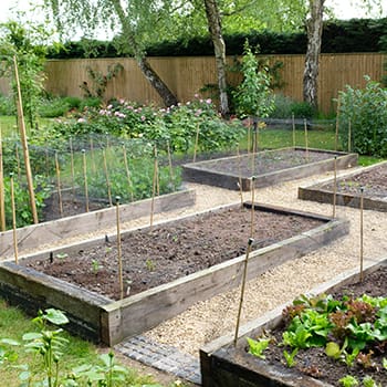 Why I Stopped Using Raised Beds - Self Sufficient Projects