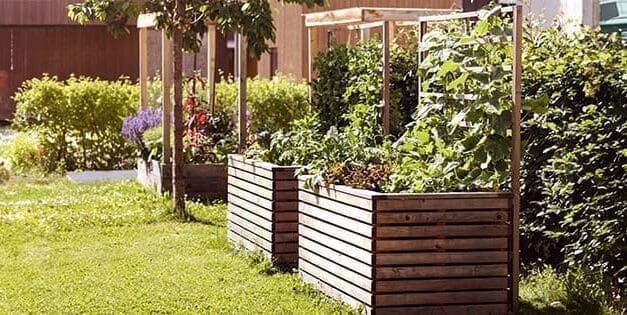 Why I Stopped Using Raised Beds