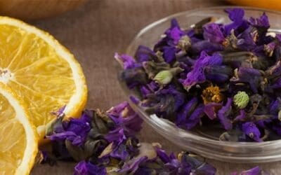 Natural Remedies From The Amish