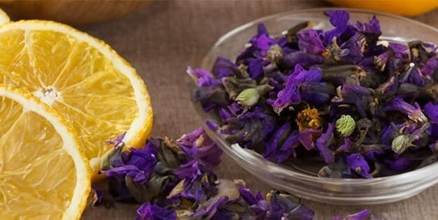 Natural Remedies From The Amish