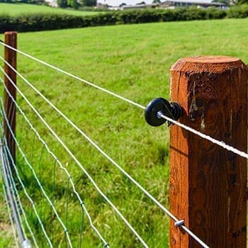 What Not To Do When You Go Off-The-Grid