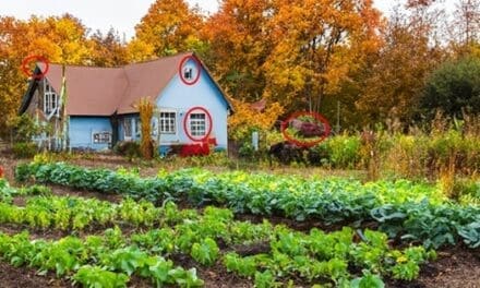What Not To Do When You Go Off-The-Grid
