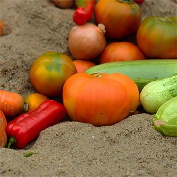 Why You Should Bury Your Vegetables In Sand