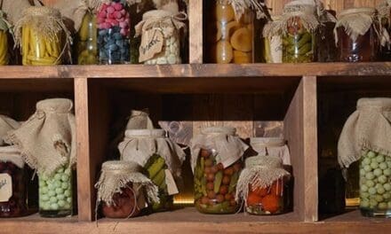 You Never Thought You Could Pickle These