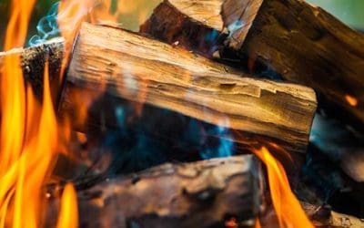 12 Types of Wood You Should Never Burn