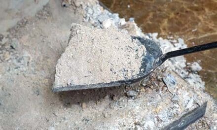 Don’t Throw Away Your Wood Ash! Do This Instead