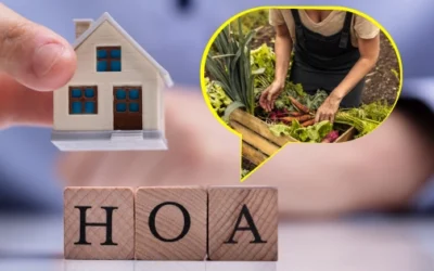 Living In A HOA Zone: Can I Be Self-Sufficient?