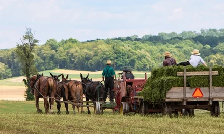 Survival Skills You Should Learn From The Amish