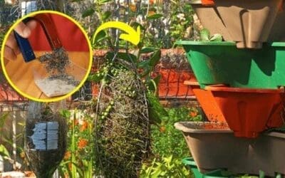 10 Useful Ways to Use Magnets On Your Property
