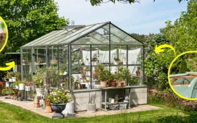 Avoid These 7 Common Greenhouse Gardening Mistakes