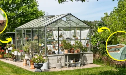 Avoid These 7 Common Greenhouse Gardening Mistakes