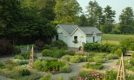 How Much Land Do You Need To Be Self-Sufficient?