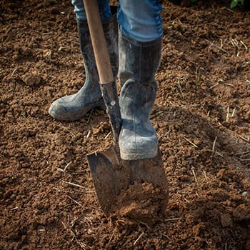 How To Start A Regenerative Garden - build your soil