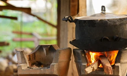 I Tried to Live Completely Off Grid for a Month. This Is What Happened