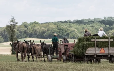 Amish Powerless Tools For A World Without Power