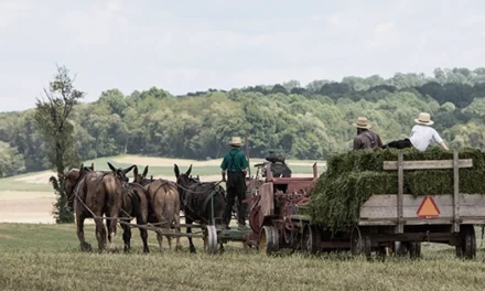 Amish Powerless Tools For A World Without Power