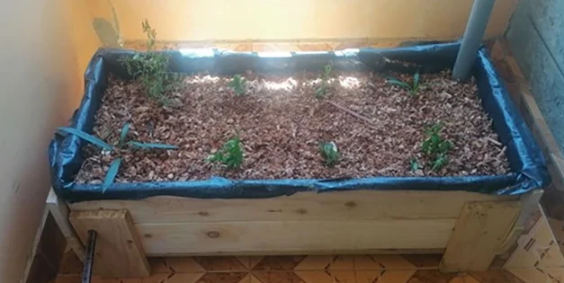 DIY Self-Watering Raised Garden Beds