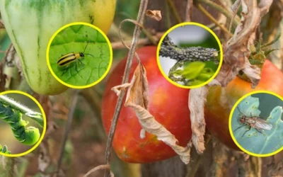 Deadly Bugs For Your Crops