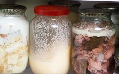 10 Foods To Store In Lard For A Long Shelf Life