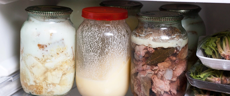 10 Foods To Store In Lard For A Long Shelf Life