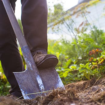 15 Tools That Should Not Be Missing From Your Gardening Kit 