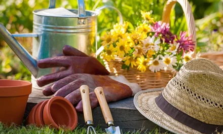 15 Tools That Should Not Be Missing From Your Gardening Kit