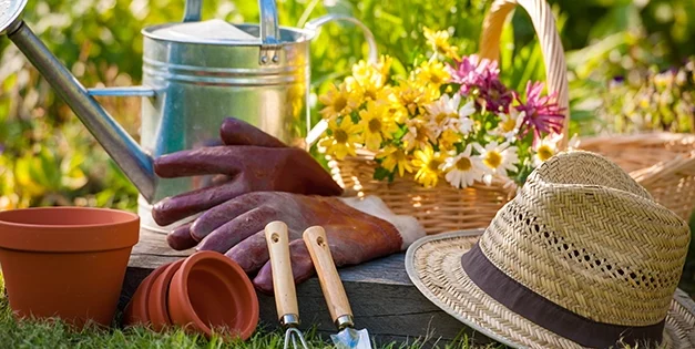 15 Tools That Should Not Be Missing From Your Gardening Kit