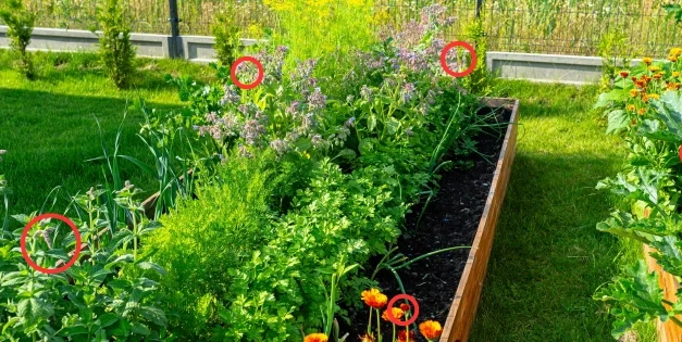 You Don’t Want This Near Your Plants