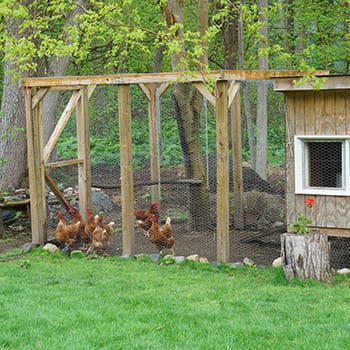 Small Survival Projects You Are Missing On Your Property