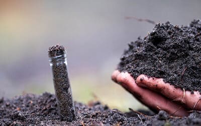 Soil Testing Methods Used By Pioneers That Still Work Today