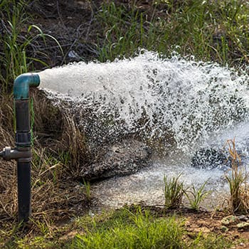 This Is How Much Water You Actually Need