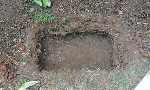 DIY Root Cellar In A Box