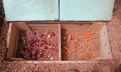 DIY Root Cellar In A Box