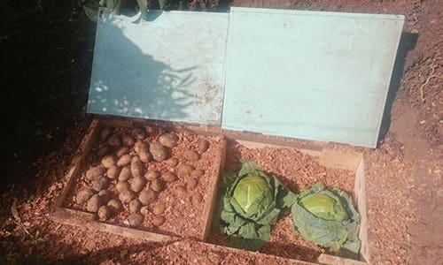 DIY Root Cellar In A Box