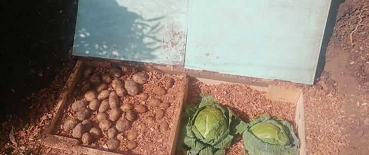 DIY Root Cellar In A Box