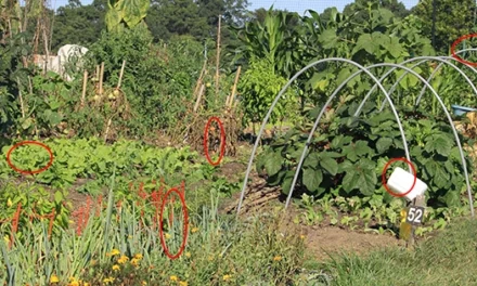 Do THIS by the End of September