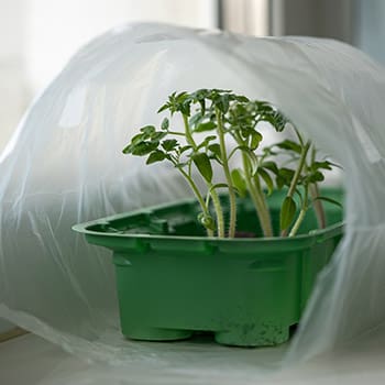 Don't Throw Away Your Garbage Bags, Do This Instead