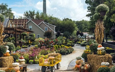 11 Items To Look For At An Amish Market