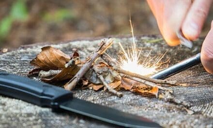 7 Survival Skills You’ll Need After the Collapse