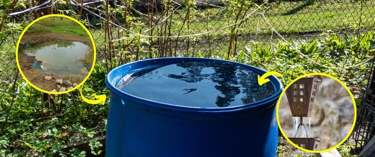 How to Collect Rainwater Without Gutters