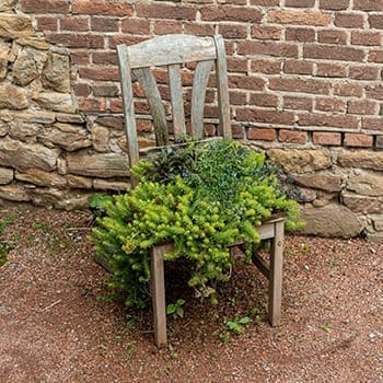 Ingenious Ways to Repurpose Old Furniture on Your Homestead - garden