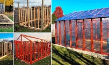 DIY Greenhouse (With Step-By-Step Pictures)